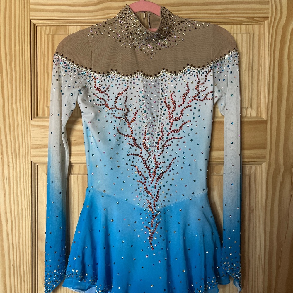 Blue and White Figure skating dress